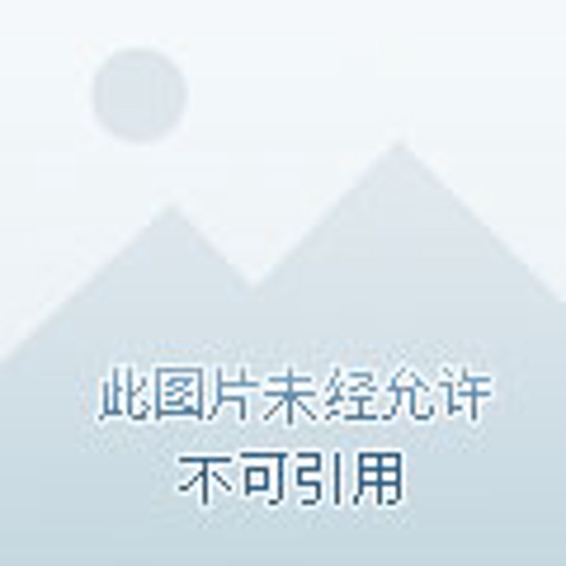 机油滤清器